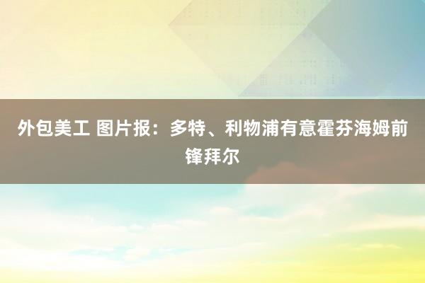 外包美工 图片报：多特、利物浦有意霍芬海姆前锋拜尔