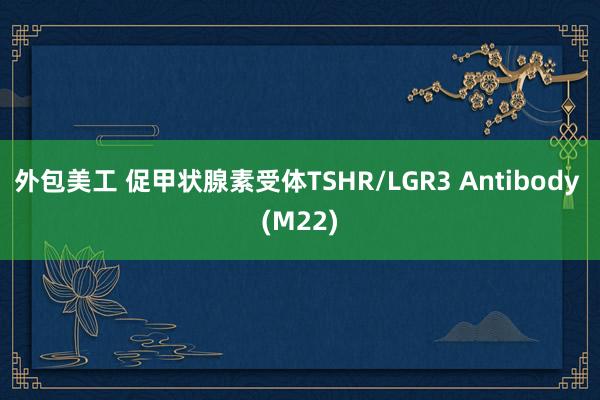 外包美工 促甲状腺素受体TSHR/LGR3 Antibody (M22)