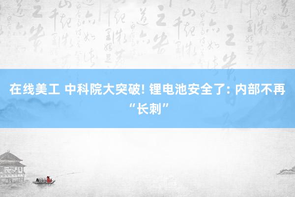 在线美工 中科院大突破! 锂电池安全了: 内部不再“长刺”