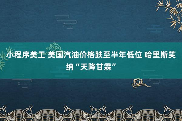 小程序美工 美国汽油价格跌至半年低位 哈里斯笑纳“天降甘霖”